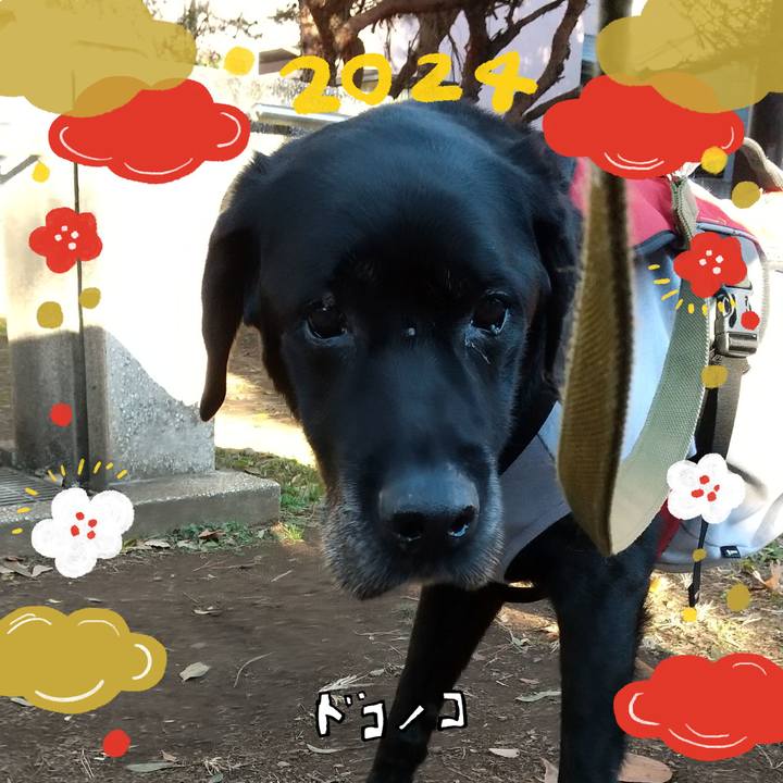 D9188353 1160 4ea1 9ab3 ab77c56ca8a9 1704069914977