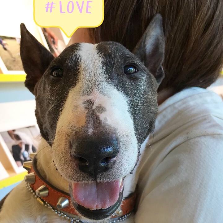 D9189a78 0759 4fb6 9cab 27ecd3560285 1524319967153