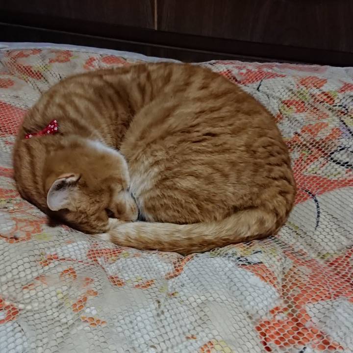 D9189cc0 f04a 4ef4 9779 0710d96ba8c8 1577448630732