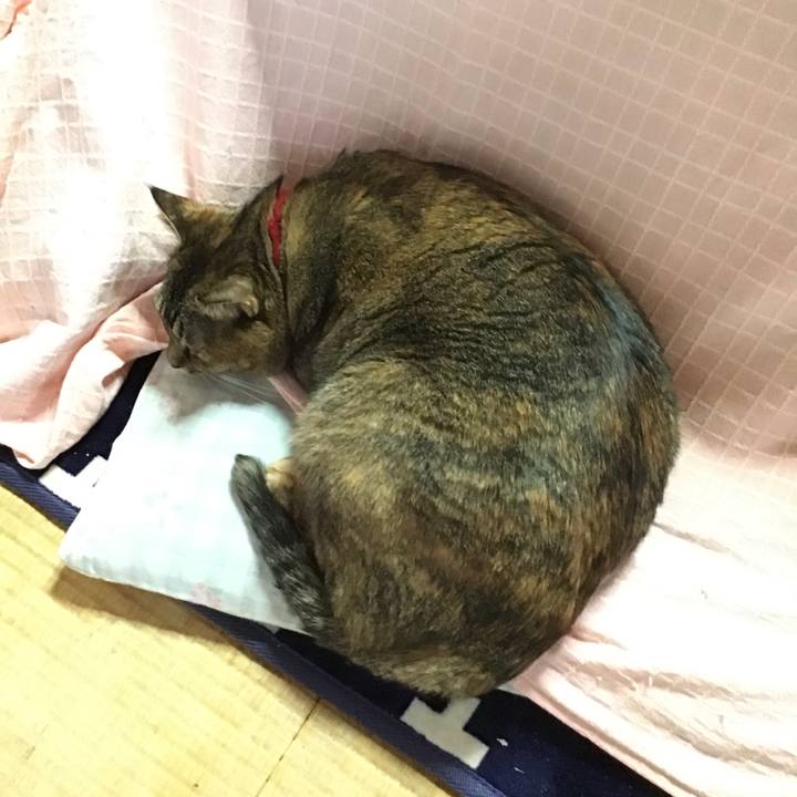 D918bb47 e54e 4cfc b4c1 eb0ac8addace 1704878783737