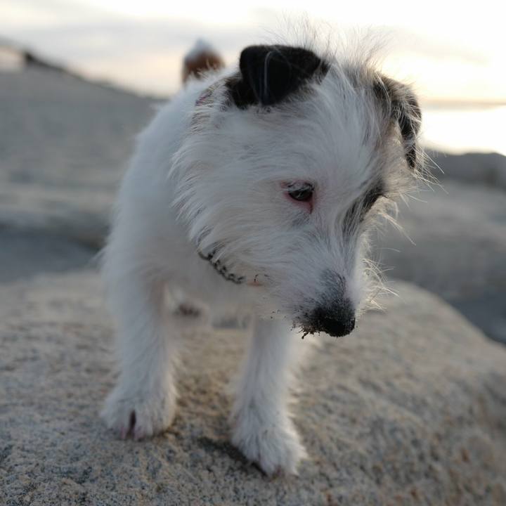 D918d388 a4e1 4e69 9025 7de138f588f1 1521955693636