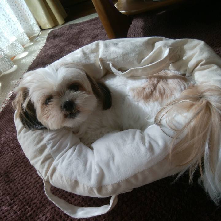 D918f85c 9a49 42d3 b84d 7ed103aa0909 1539315002903