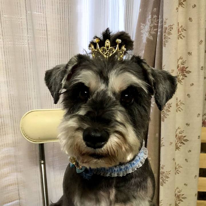 D9190d5b 1208 41c4 aef2 3f6532891037 1631179009754