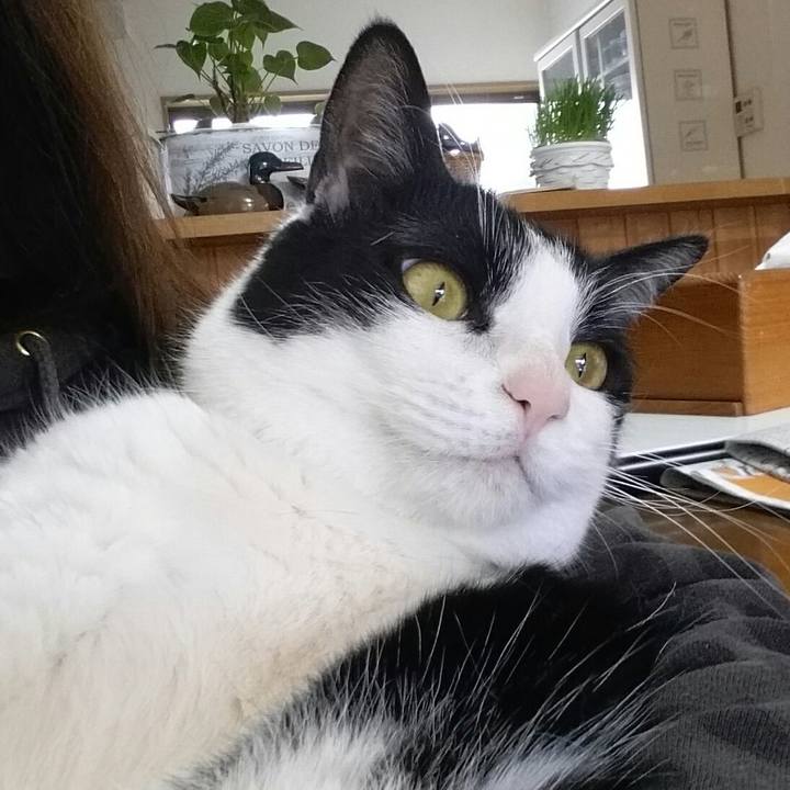 D91935f1 bb57 4d87 b848 ae38d8a6f4b6 1554852192612