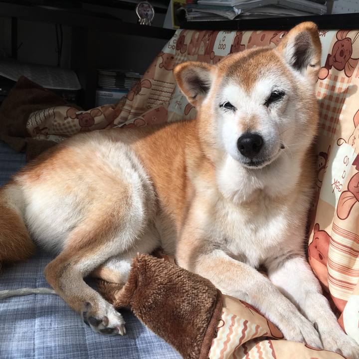 D919b76b 004e 4680 87e9 0e993568bbdb 1542936513855