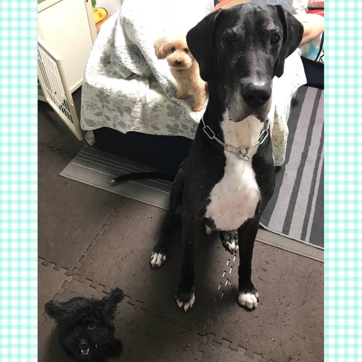 D919cdab 5dd6 464e 90e8 619b91bc7bb5 1536014038074