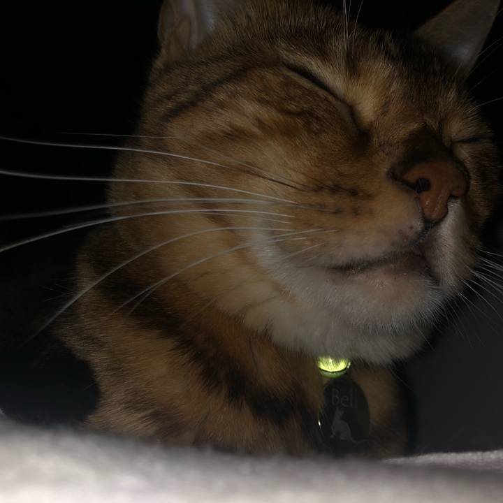 D919e101 2fb3 4427 9c9d 5823b6d04d2a 1569365749978