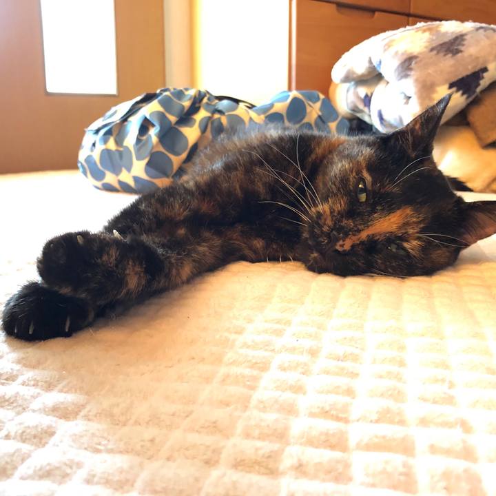 D919ea81 67c7 4b3c 9866 c923a98a4f6c 1621150993829