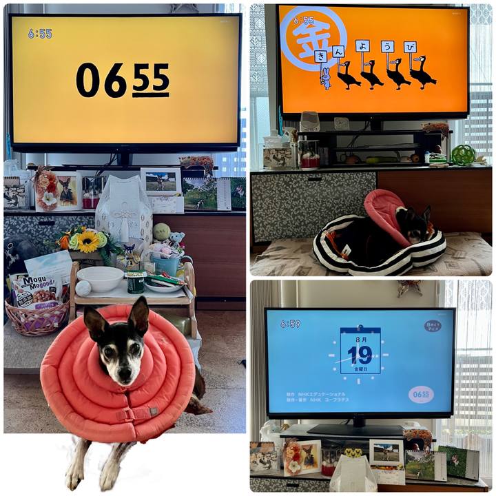 D919ed2e 91a7 4671 99f7 98676f0bacbb 1660860228718