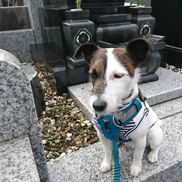 D919f1a1 9139 4976 a9c8 4dcebdd211a9 1521342069238