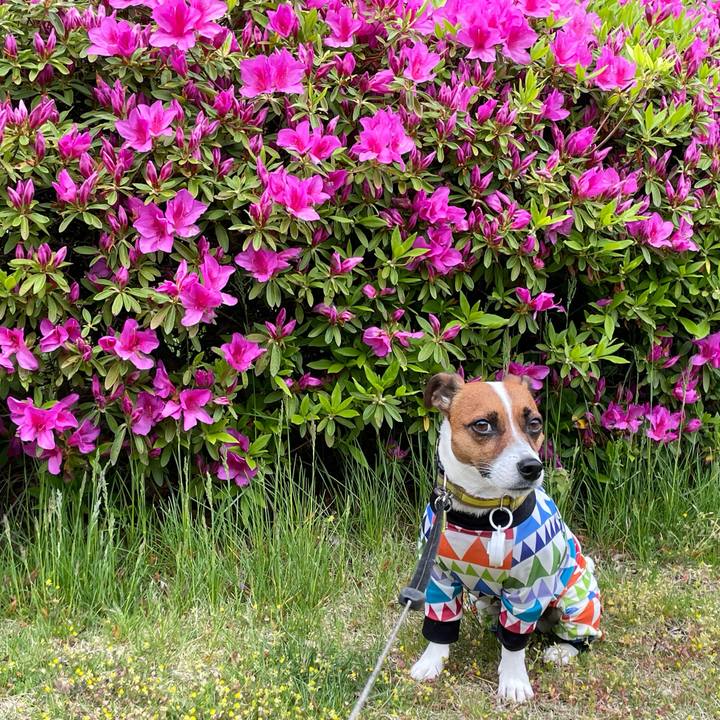 D919fe49 0a7c 4cf6 bc59 8aaa99c6851b 1652084896089