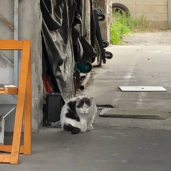 D91a0dae 9cf8 467d b605 b3ee63511851 1606144086785