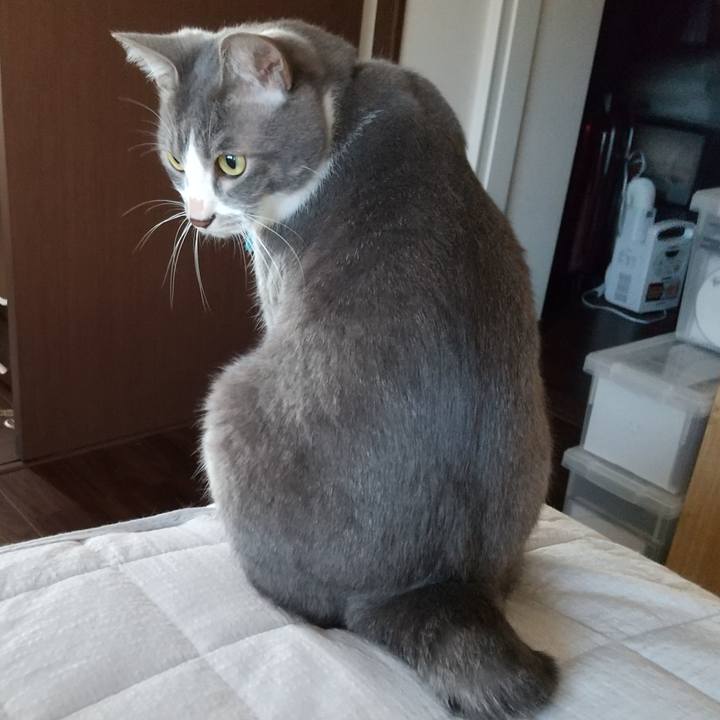 D91a1080 0d59 45f6 9847 75da725864d5 1620942463242