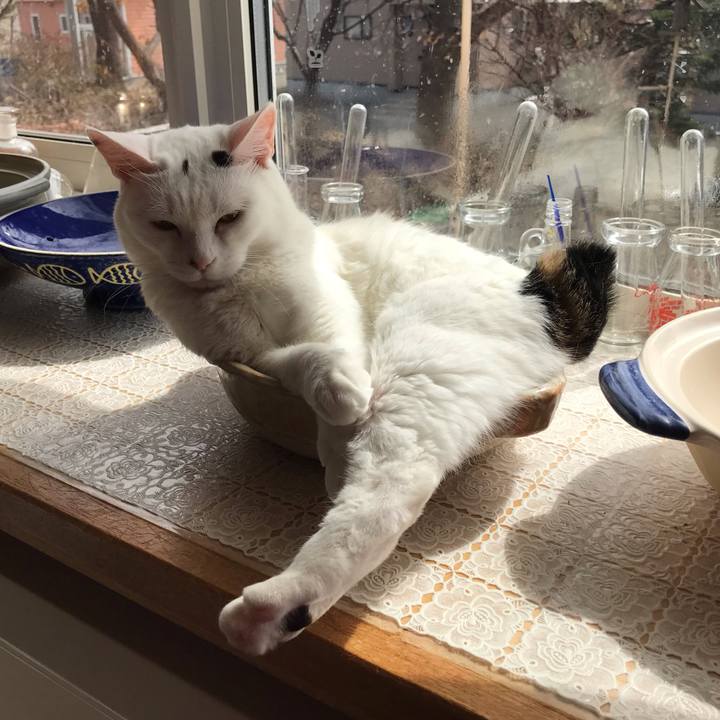 D91a4304 6c35 4da8 b998 b2baf37ee599 1617240213214