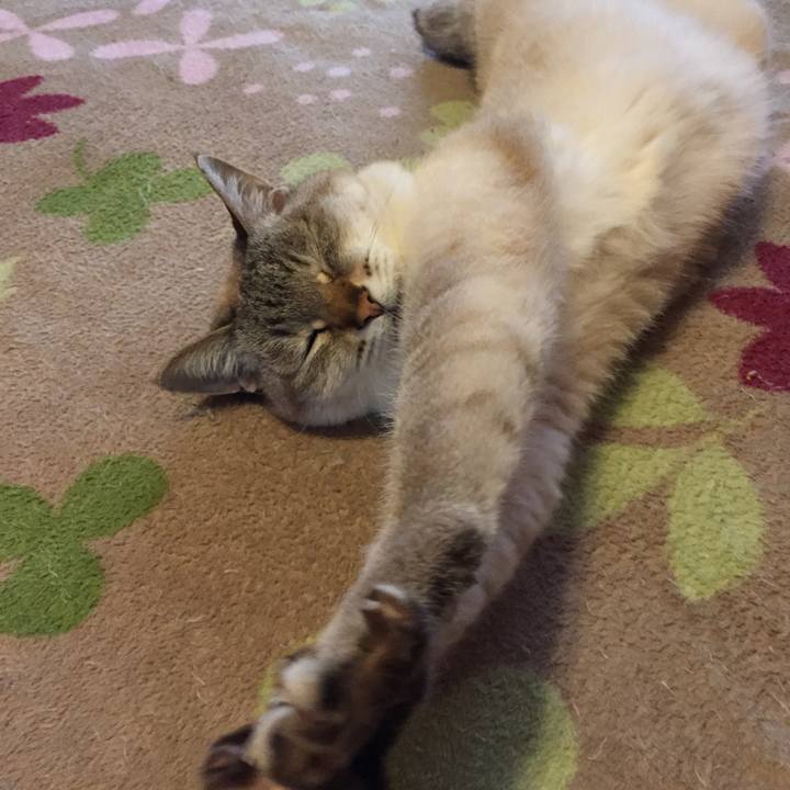 D91a4da8 1d67 477e ad5c aae4fe1e9eb5 1525221412440