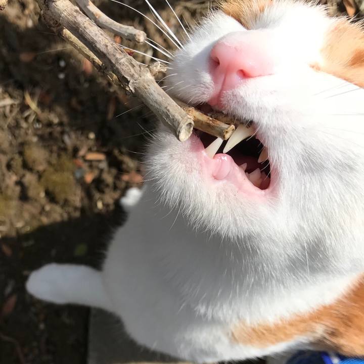 D91a4e60 2b72 4c08 bf5e e7e57bb4042a 1520396422631