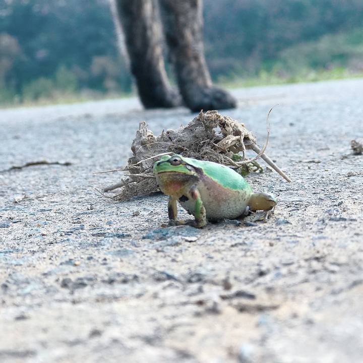 D91a5684 7625 46e4 b038 ec6c4300b08e 1524176814732