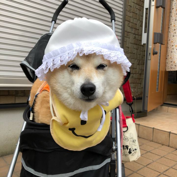 D91a5b7c 923b 4767 bc3b 6248c79b7a87 1585386223204