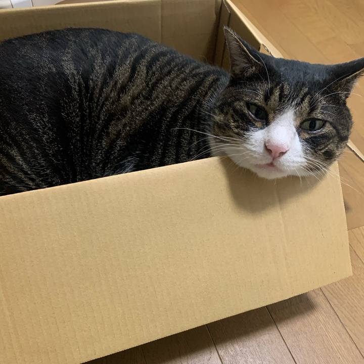 D91a5ec2 b84e 4cae a0d1 90e8c39efdbf 1625116891765