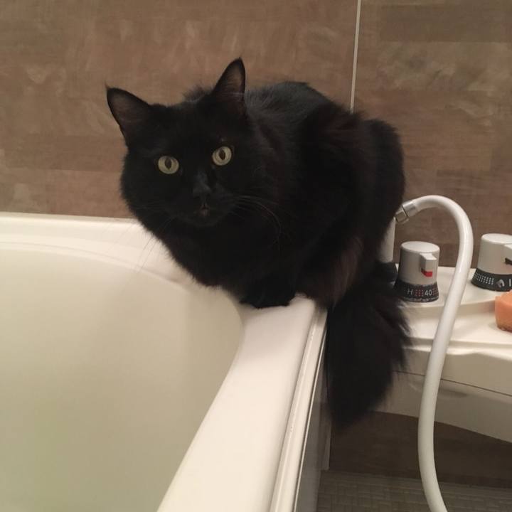 D91a7380 7b25 4cec 8a3a 89bb51f3b89a 1537911840913