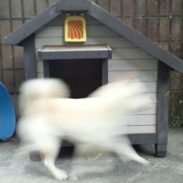 D91a94c6 a26a 4d3d a4ac 3dd3a6a5f520 1650731026300