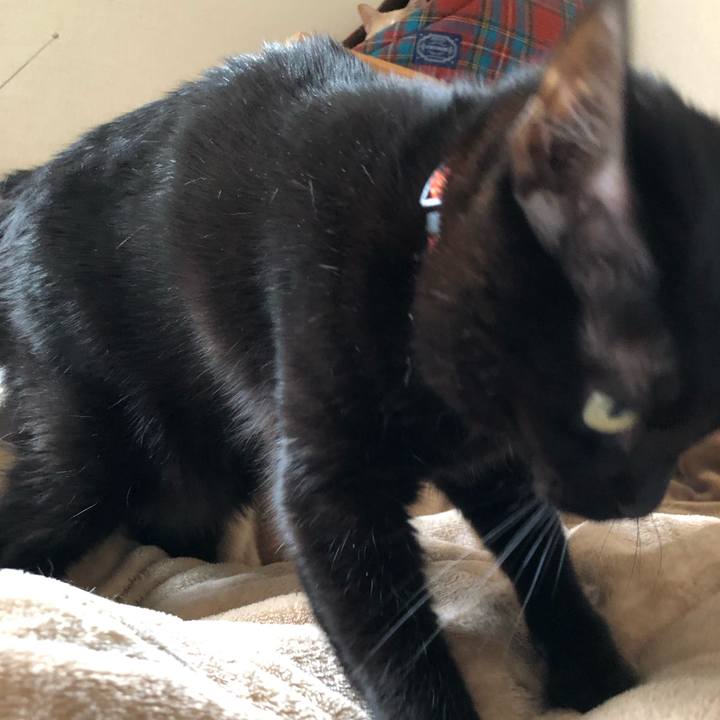 D91aa66d 34eb 4e52 9954 7ffa01cb2304 1552785907075