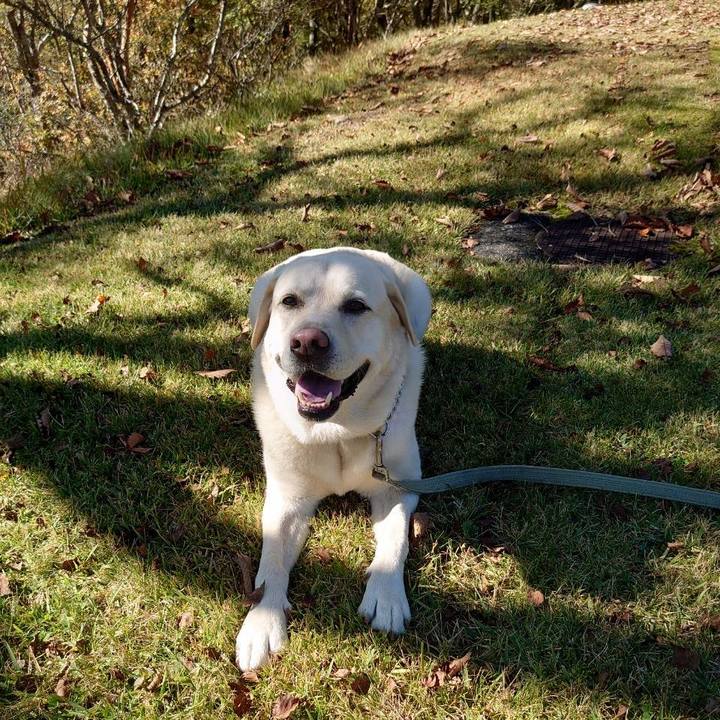 D91aaea1 9b9d 4c45 b124 16a2018b3343 1633922820402