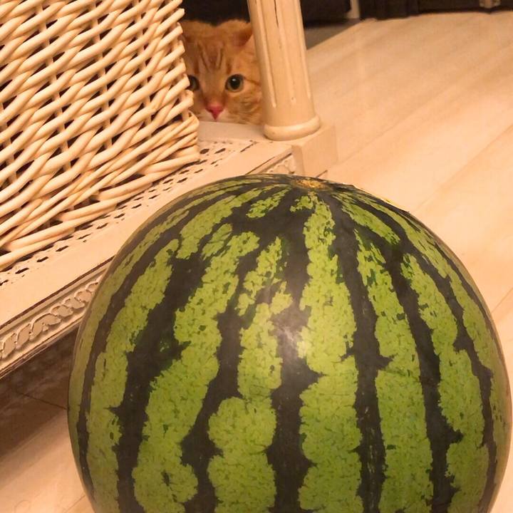 D91aafce 4a78 4837 a4a6 eb234b402425 1558792082430