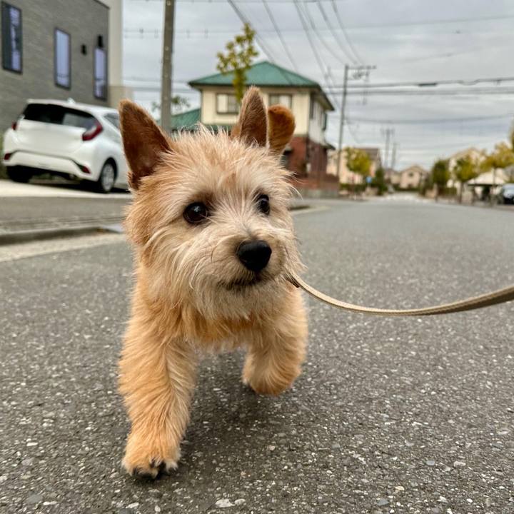 D91abefc aca1 46af a255 ff02391c9754 1708317405477