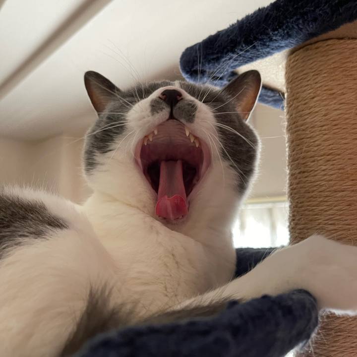 D91ac0e1 202d 47c4 b82c c44a03c04e53 1661579518295