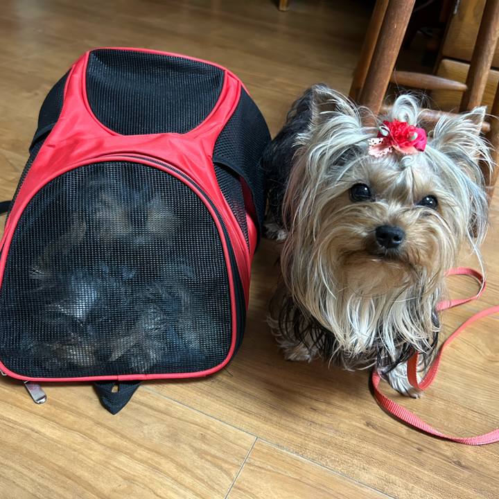 D91ac43c 0331 4376 bd0b 0fef3b6c7eeb 1711871223052