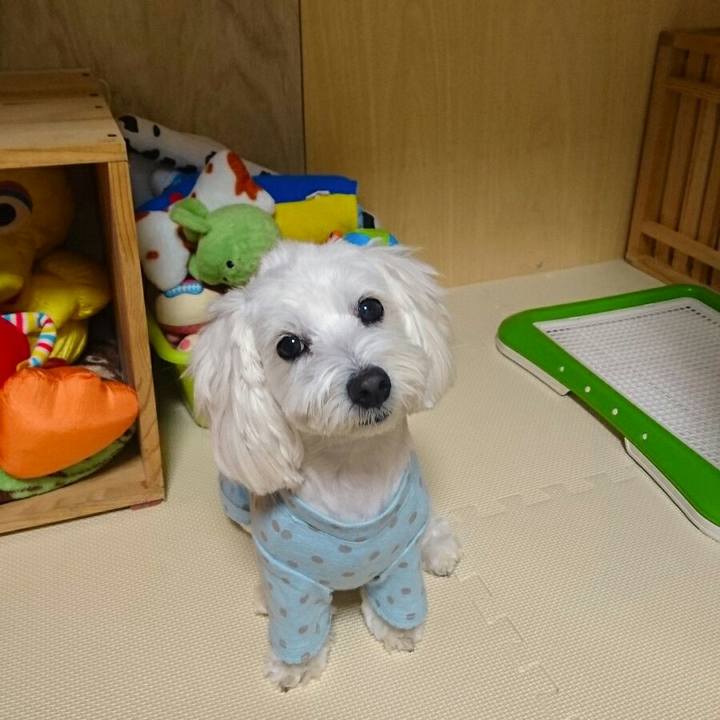 D91ac52f 1373 447e 982f a1679b1e75e5 1509759015078