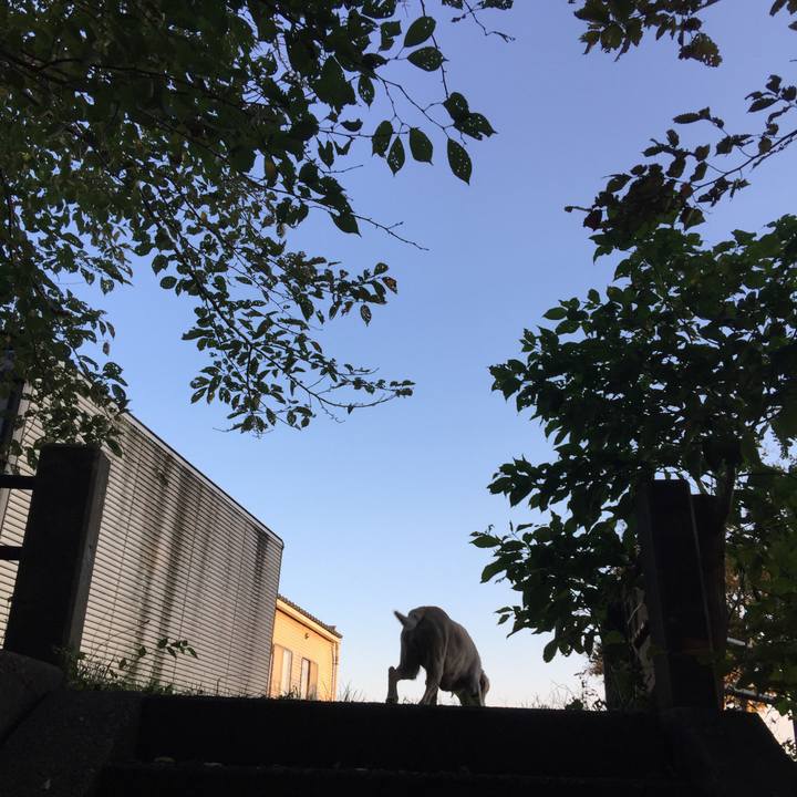 D91ad3da d95c 4e99 8d76 9d1511d54c3f 1509061873417