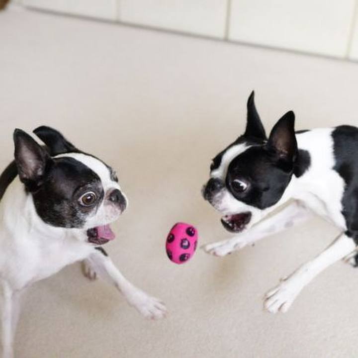 D91ade17 2ff1 41bc bd8f a18f54585ce3 1531543005691