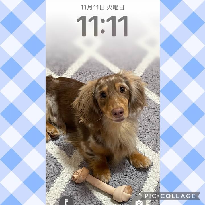 D91ae679 c71a 45cd 9d67 d9841ba5ce01 1762870617068