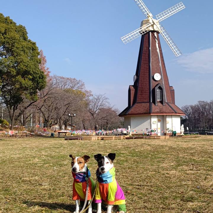 D91aedcc c591 47ff 801a 9852de6d1a9c 1704019577112