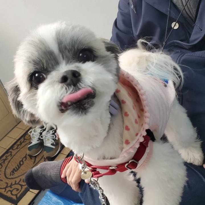 D91aee18 546b 4524 b94e ce89211b60f5 1576577166232