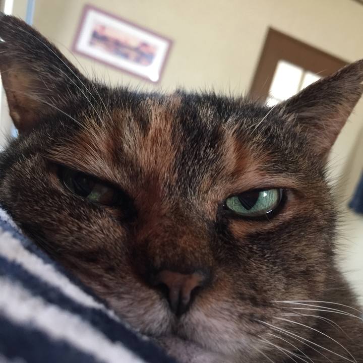 D91b0ca6 3a2b 407a 99c4 e9b685606784 1593915658587