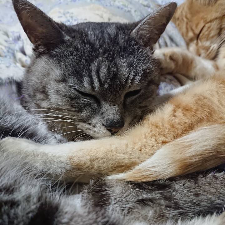 D91b1c19 507b 4e4a a634 3294ca150452 1588855626973