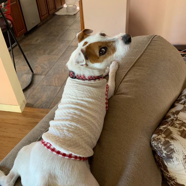 D91b1c70 2a3f 4b0e 95fb 65959ddda6b0 1546403328297