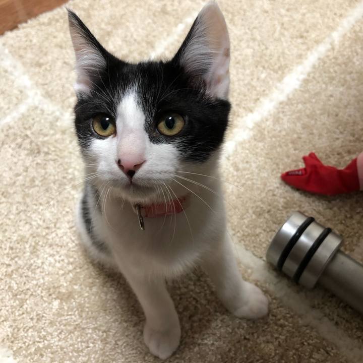 D91b4ca4 ba75 487d b338 ceba6e2180ec 1612433183169