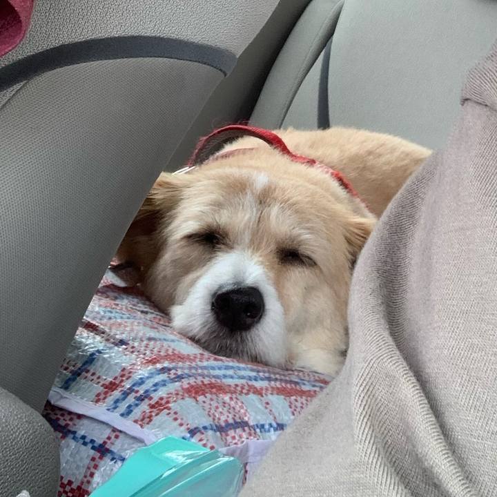 D91b5d8b bebf 4921 8bd0 3f089f1800e1 1592632452085