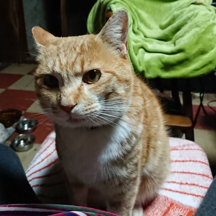 D91b81ba 5f89 4e47 8a53 ee84c519e51a 1584129333109