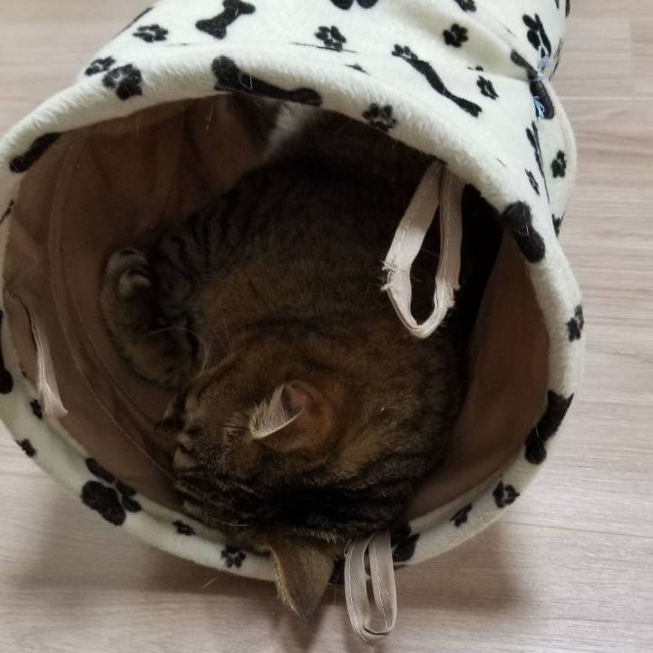 D91babf2 fd67 4331 b7f2 27d0dc501bc7 1552912896079