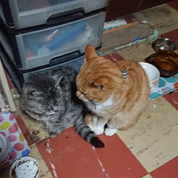 D91bcc19 187c 485b 87a5 cfc51b7f8ff1 1574625527112