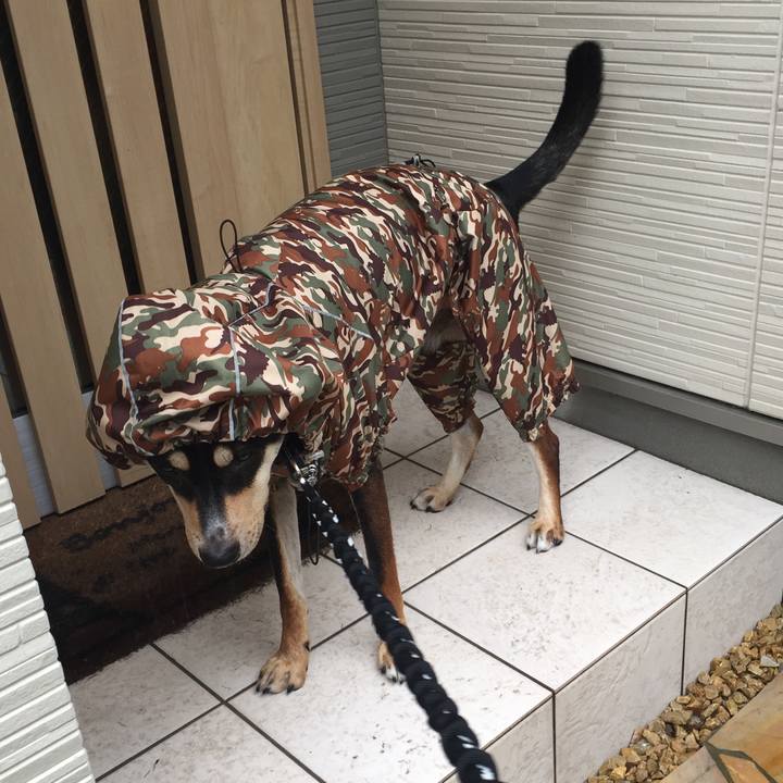 D91bcf64 8edd 4094 8a88 7787e77fa88b 1530840622169