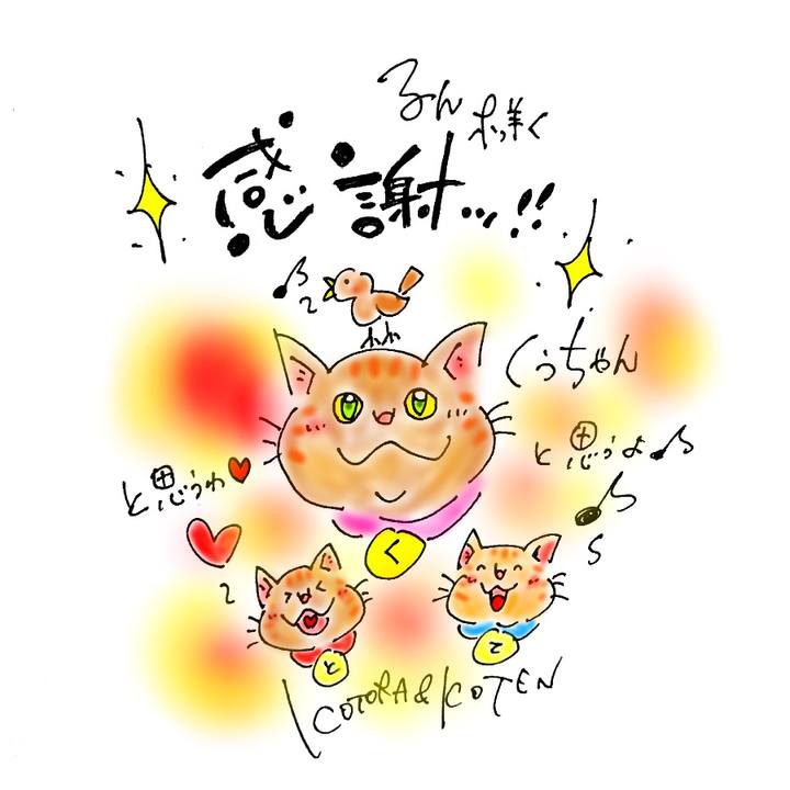 D91bd614 56db 4e30 b0fd 3c890aea7b65 1573491451783