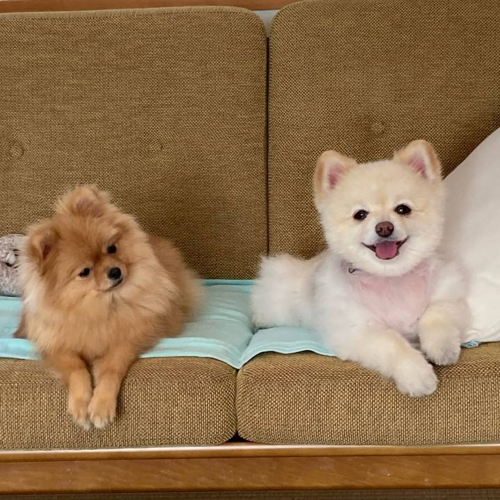 D91be7a8 0246 4da4 9df1 5e3e3de995c1 1667747415285