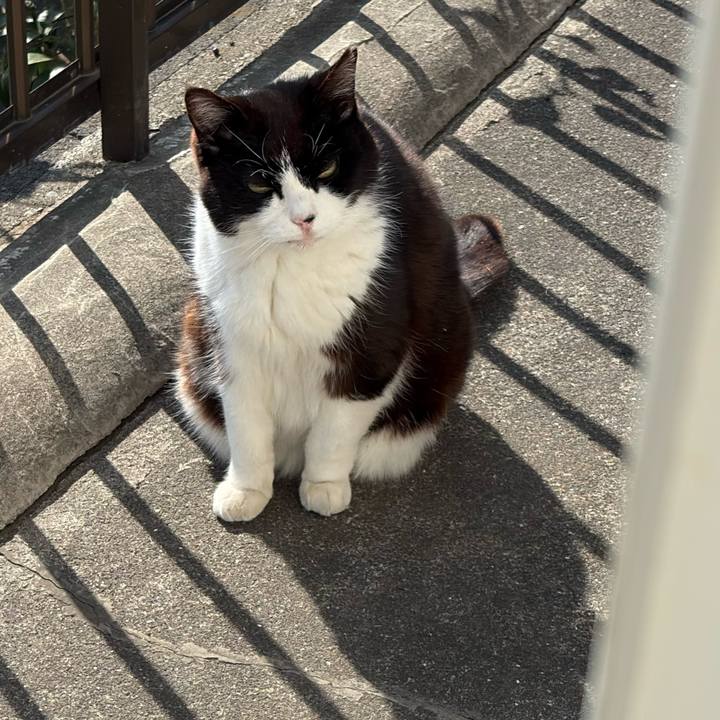 D91c0e20 72cb 4af6 aca1 f5208533cbf6 1773554258289