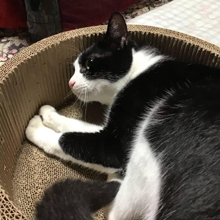 D91c149a 23d1 4508 9806 ff4784bbc513 1719571240955